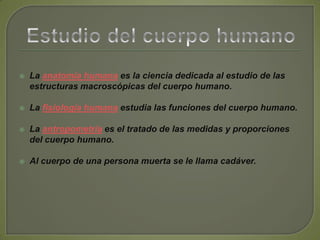 Estudio del cuerpo humanoLa anatomía humana es la ciencia dedicada al estudio de las estructuras macroscópicas del cuerpo humano.La fisiología humana estudia las funciones del cuerpo humano.La antropometría es el tratado de las medidas y proporciones del cuerpo humano.Al cuerpo de una persona muerta se le llama cadáver.