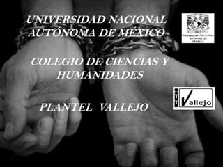 UNIVERSIDAD NACIONAL
AUTÓNOMA DE MÉXICO

COLEGIO DE CIENCIAS Y
   HUMANIDADES

 PLANTEL VALLEJO
 