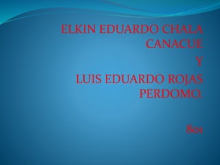 ELKIN EDUARDO CHALA
CANACUE
Y
LUIS EDUARDO ROJAS
PERDOMO.
801
 