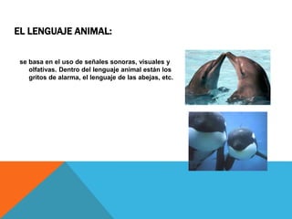 EL LENGUAJE ANIMAL:
se basa en el uso de señales sonoras, visuales y
olfativas. Dentro del lenguaje animal están los
gritos de alarma, el lenguaje de las abejas, etc.
 
