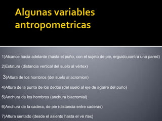 Algunas variables antropometricas1)Alcance hacia adelante (hasta el puño, con el sujeto de pie, erguido,contra una pared)2)Estatura (distancia vertical del suelo al vértex)3)Altura de los hombros (del suelo al acromion)4)Altura de la punta de los dedos (del suelo al eje de agarre del puño)5)Anchura de los hombros (anchura biacromial)6)Anchura de la cadera, de pie (distancia entre caderas)7)Altura sentado (desde el asiento hasta el vértex)