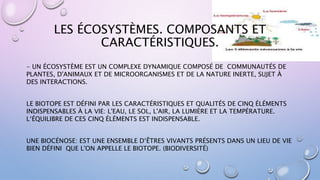 LES ÉCOSYSTÈMES. COMPOSANTS ET
CARACTÉRISTIQUES.
- UN ÉCOSYSTÈME EST UN COMPLEXE DYNAMIQUE COMPOSÉ DE COMMUNAUTÉS DE
PLANTES, D'ANIMAUX ET DE MICROORGANISMES ET DE LA NATURE INERTE, SUJET À
DES INTERACTIONS.
LE BIOTOPE EST DÉFINI PAR LES CARACTÉRISTIQUES ET QUALITÉS DE CINQ ÉLÉMENTS
INDISPENSABLES À LA VIE: L'EAU, LE SOL, L'AIR, LA LUMIÈRE ET LA TEMPÉRATURE.
L‘ÉQUILIBRE DE CES CINQ ÉLÉMENTS EST INDISPENSABLE.
UNE BIOCÉNOSE: EST UNE ENSEMBLE D‘ÊTRES VIVANTS PRÉSENTS DANS UN LIEU DE VIE
BIEN DÉFINI QUE L'ON APPELLE LE BIOTOPE. (BIODIVERSITÉ)
 