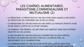 LES CHAÎNES ALIMENTAIRES:
PARASITISME,COMMENSALISME ET
MUTUALISME (2)
• LA PRÉDATION: LA PRÉDATION EST UNE RELATION DANS LAQUELLE UNE ESPÈCE
(LE PRÉDATEUR) EN CONSOMME UNE AUTRE (LA PROIE)
• LE PARASITISME EST UNE RELATION OÙ UNE ESPÈCE (LE PARASITE) PROFITE D'UNE
AUTRE ESPÈCE (L'HÔTE) EN LUI ÉTANT NUISIBLE.
• LA SYMBIOSE: PAR EXEMPLE, LES BACTÉRIES QUI HABITENT DANS NOS SYSTÈMES
DIGESTIFS OU LES LICHENS.
• LE MUTUALISME EST UNE RELATION DE COOPERATION OU DEUX ESPÈCES
RETIRENT UN AVANTAGE QUI PEUT ÊTRE LIÉ À LA PROTECTION, AU
DEPLACEMENT OU À L'ALIMENTATION.
• LE COMMENSALISME EST UNE RELATION ENTRE DEUX ESPÈCES,MAIS POUR
LAQUELLE UNE SEULE D'ENTRE ELLES (LE COMMENSAL) RETIRE DES BÉNÉFICES.
 