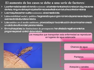 El aumento de los casos se debe a una serie de factores: La enfermedad se está volviendo  resistente  a los tratamientos tradicionales (en algunas zonas de Asia, ninguno de los principales fármacos es efectivo en la lucha contra la malaria)  Los mosquitos se han vuelto  resistentes  a los insecticidas. La  inestabilidad social y política  ha generado que un gran número de personas se desplacen a zonas donde abunda la malaria.  Los  cambios en el medio ambiente , provocados por la construcción de caminos han creado un caldo de cultivo ideal para la malaria.  En muchos países,  las limitaciones de presupuesto  han afectado negativamente los programas para el control de la malaria.  Los mosquitos que transportan esta enfermedad se reproducen  en lugares de agua estancada Charcos de agua Pantanos  Acequias y canales 