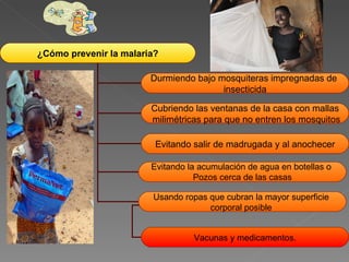 ¿Cómo prevenir la malaria? Durmiendo bajo mosquiteras impregnadas de  insecticida Cubriendo las ventanas de la casa con mallas milimétricas para que no entren los mosquitos Evitando salir de madrugada y al anochecer Evitando la acumulación de agua en botellas o  Pozos cerca de las casas Usando ropas que cubran la mayor superficie  corporal posible  Vacunas y medicamentos. 