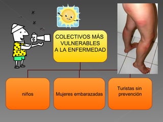 COLECTIVOS MÁS  VULNERABLES A LA ENFERMEDAD niños Mujeres embarazadas Turistas sin  prevención 
