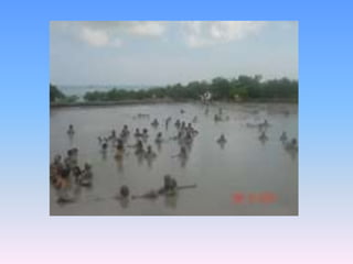 PresentacióN1mariana Blog