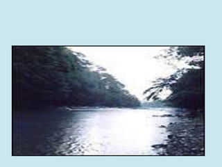 PresentacióN1mariana Blog