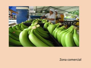 PresentacióN1mariana Blog