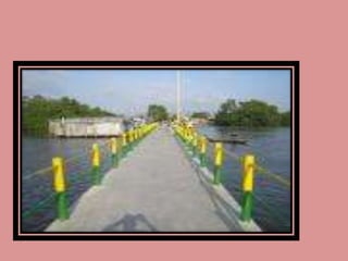 PresentacióN1mariana Blog