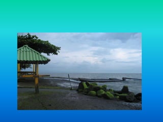 PresentacióN1mariana Blog