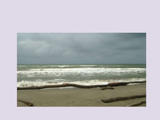 PresentacióN1mariana Blog