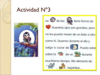Actividad Nº3
 