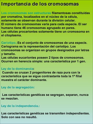     Importancia de los cromosomas Los cromosomas son estructuras  filamentosas constituidas por cromatina, localizados en el núcleo de la célula, solamente se observan durante la división celular. El número de cromosomas varia para cada especie. El ser humano tiene 46 cromosomas agrupado en pares. Las células procariontes solamente tiene un cromosoma en el citoplasma. Cariotipo.: Es el conjunto de cromosomas de una especie. Cariograma es la representación del cariotipo. Los cromosomas se organizan en grupos designados por letras y tamaño. Las células eucariontes poseen 2 tipos de cromosomas. Ocurren en herencia simple: una característica por 1 gen. Ley de la dominancia : Cuando se cruzan 2 progenitores de raza pura con la característica que se sigue contrastante toda la 1ª filial muestra el carácter dominante. Ley de la segregación: Las características genéticas se segregan, separan, nunca se mezclan. Ley de la independencia.: Las características genéticas se transmiten independientes. Solo con sea no resultó. 