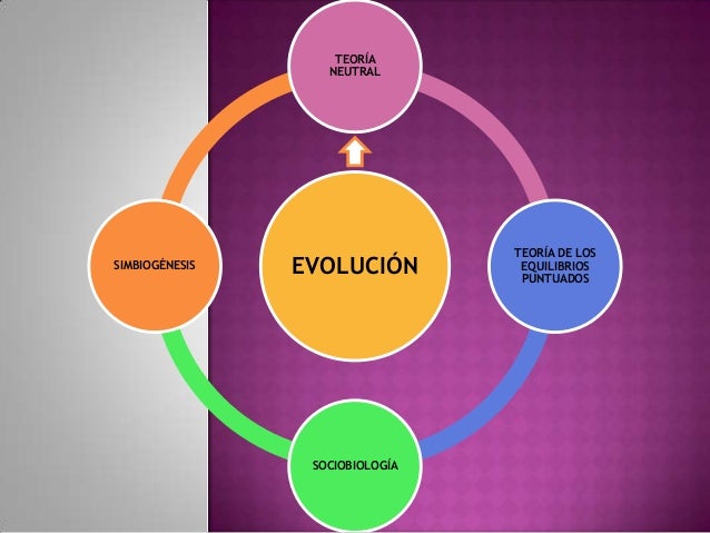 Teoria neutral de la evolucion_teoria_online