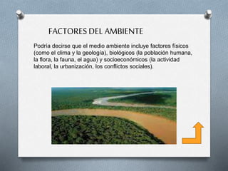 Podría decirse que el medio ambiente incluye factores físicos
(como el clima y la geología), biológicos (la población humana,
la flora, la fauna, el agua) y socioeconómicos (la actividad
laboral, la urbanización, los conflictos sociales).
FACTORESDEL AMBIENTE
 