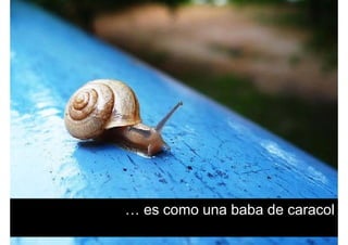 … es como una baba de caracol
 