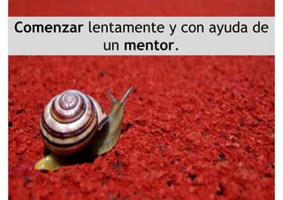 C l d dComenzar lentamente y con ayuda de
un mentorun mentor.
 