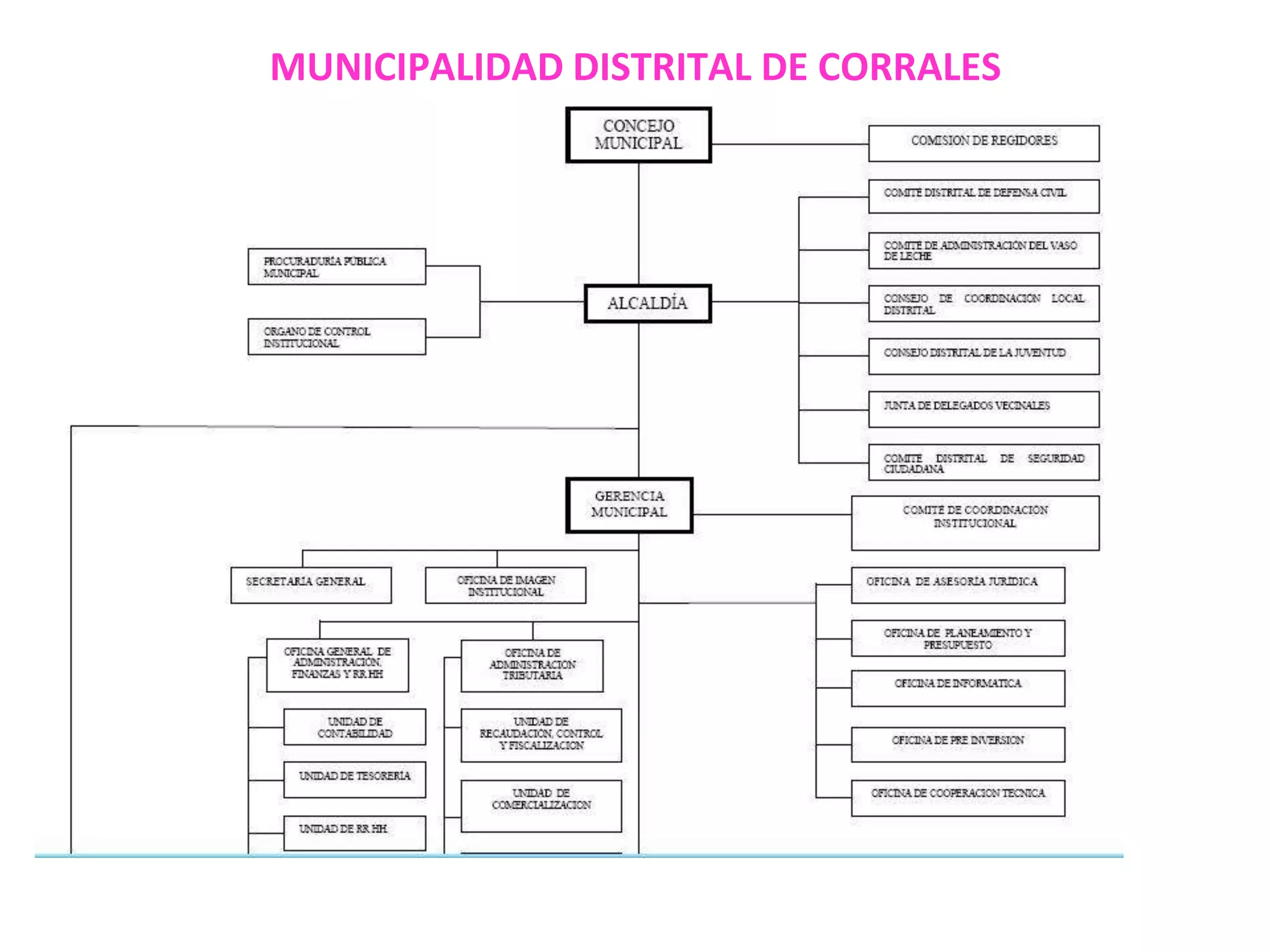 MUNICIPALIDAD DISTRITAL DE CORRALESESTRUCTURA ORGANICA