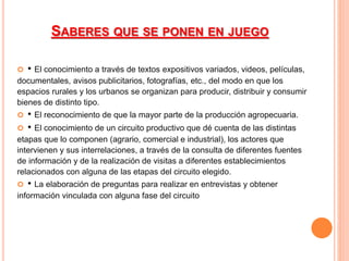 SABERES QUE SE PONEN EN JUEGO 
 • El conocimiento a través de textos expositivos variados, videos, películas, 
documentales, avisos publicitarios, fotografías, etc., del modo en que los 
espacios rurales y los urbanos se organizan para producir, distribuir y consumir 
bienes de distinto tipo. 
 • El reconocimiento de que la mayor parte de la producción agropecuaria. 
 • El conocimiento de un circuito productivo que dé cuenta de las distintas 
etapas que lo componen (agrario, comercial e industrial), los actores que 
intervienen y sus interrelaciones, a través de la consulta de diferentes fuentes 
de información y de la realización de visitas a diferentes establecimientos 
relacionados con alguna de las etapas del circuito elegido. 
 • La elaboración de preguntas para realizar en entrevistas y obtener 
información vinculada con alguna fase del circuito 
 