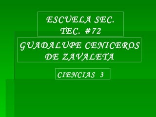 ESCUELA SEC. TEC. #72 GUADALUPE CENICEROS DE ZAVALETA CIENCIAS  3  