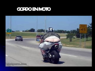 GORDO EN MOTO 