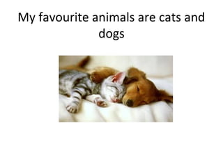My favourite animals are cats and
dogs
 