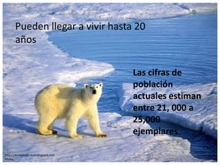 Pueden llegar a vivir hasta 20
       años

                                       Las cifras de
                                       población
                                       actuales estiman
                                       entre 21, 000 a
                                       25,000
                                       ejemplares.

http://denisehalltravel.blogspot.mx/
Photo
 