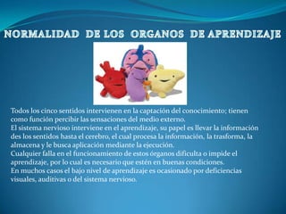 NORMALIDAD  DE LOS  ORGANOS  DE APRENDIZAJETodos los cinco sentidos intervienen en la captación del conocimiento; tienen como función percibir las sensaciones del medio externo. El sistema nervioso interviene en el aprendizaje, su papel es llevar la información des los sentidos hasta el cerebro, el cual procesa la información, la trasforma, la almacena y le busca aplicación mediante la ejecución.Cualquier falla en el funcionamiento de estos órganos dificulta o impide el aprendizaje, por lo cual es necesario que estén en buenas condiciones.En muchos casos el bajo nivel de aprendizaje es ocasionado por deficiencias visuales, auditivas o del sistema nervioso.