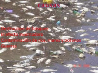 Destrucción de bosques
El efecto invernadero
Contaminación de ríos, mares y océanos
Guerras
 