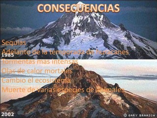 Sequias
Adelanto de la temporada de huracanes
Tormentas mas intensas
Olas de calor mortales
Cambio el ecosistema
Muerte de varias especies de animales
 