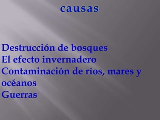 Destrucción de bosques
El efecto invernadero
Contaminación de ríos, mares y
océanos
Guerras
 