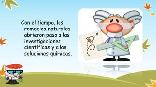 Con el tiempo, los 
remedios naturales 
abrieron paso a las 
investigaciones 
científicas y a las 
soluciones químicas. 
 