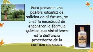 Para prevenir una 
posible escasez de 
salicina en el futuro, se 
creó la necesidad de 
encontrar la fórmula 
química que sintetizara 
esta sustancia 
procedente de la 
corteza de sauce. 
 