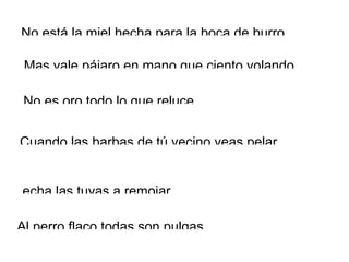 No está la miel hecha para la boca de burro.
Mas vale pájaro en mano que ciento volando
No es oro todo lo que reluce
Cuando las barbas de tú vecino veas pelar,
echa las tuyas a remojar
Al perro flaco todas son pulgas
 