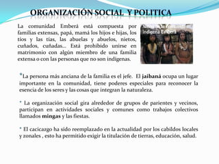 La comunidad Emberá está compuesta por
familias extensas, papá, mamá los hijos e hijas, los
tíos y las tías, las abuelas y abuelos, nietos,
cuñados, cuñadas... Está prohibido unirse en
matrimonio con algún miembro de una familia
extensa o con las personas que no son indígenas.


*La persona más anciana de la familia es el jefe.   El jaibaná ocupa un lugar
importante en la comunidad, tiene poderes especiales para reconocer la
esencia de los seres y las cosas que integran la naturaleza.

* La organización social gira alrededor de grupos de parientes y vecinos,
participan en actividades sociales y comunes como trabajos colectivos
llamados mingas y las fiestas.

* El cacicazgo ha sido reemplazado en la actualidad por los cabildos locales
y zonales , esto ha permitido exigir la titulación de tierras, educación, salud.
 