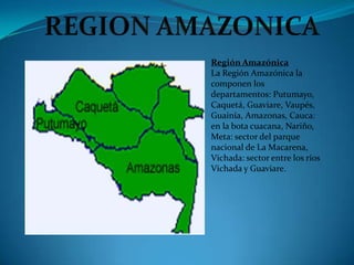 Región Amazónica
La Región Amazónica la
componen los
departamentos: Putumayo,
Caquetá, Guaviare, Vaupés,
Guainía, Amazonas, Cauca:
en la bota cuacana, Nariño,
Meta: sector del parque
nacional de La Macarena,
Vichada: sector entre los ríos
Vichada y Guaviare.
 