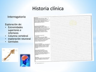 Exploración de: 
• Extremidades 
superiores e 
inferiores 
• Columna vertebral 
• exploración neuronal 
• Genitales 
 