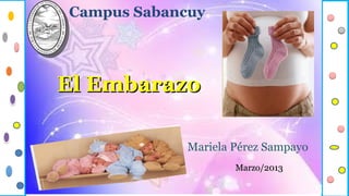 Campus Sabancuy




El Embarazo

             Mariela Pérez Sampayo
                     Marzo/2013
 