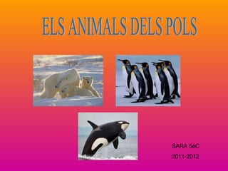 ELS ANIMALS DELS POLS SARA 5éC 2011-2012 