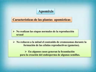 Apomixis
Características de las plantas apomícticas
 No realizan las etapas normales de la reproducción
sexual
 No reducen a la mitad el contenido de cromosomas durante la
formación de las células reproductivas (gametas).
 En algunos casos generan la fecundación
para la creación del endosperma de algunas semillas.
 