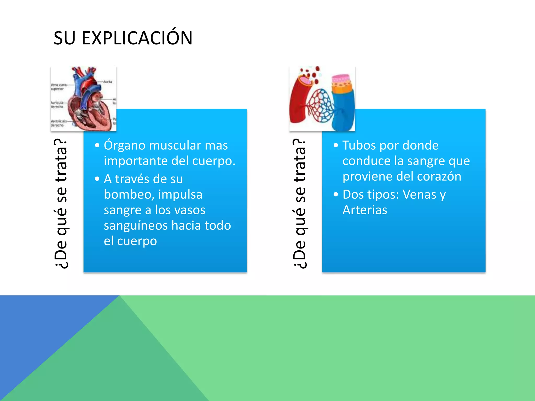 SU EXPLICACIÓN
¿Dequésetrata?
• Órgano muscular mas
importante del cuerpo.
• A través de su
bombeo, impulsa
sangre a los vasos
sanguíneos hacia todo
el cuerpo
¿Dequésetrata?
• Tubos por donde
conduce la sangre que
proviene del corazón
• Dos tipos: Venas y
Arterias