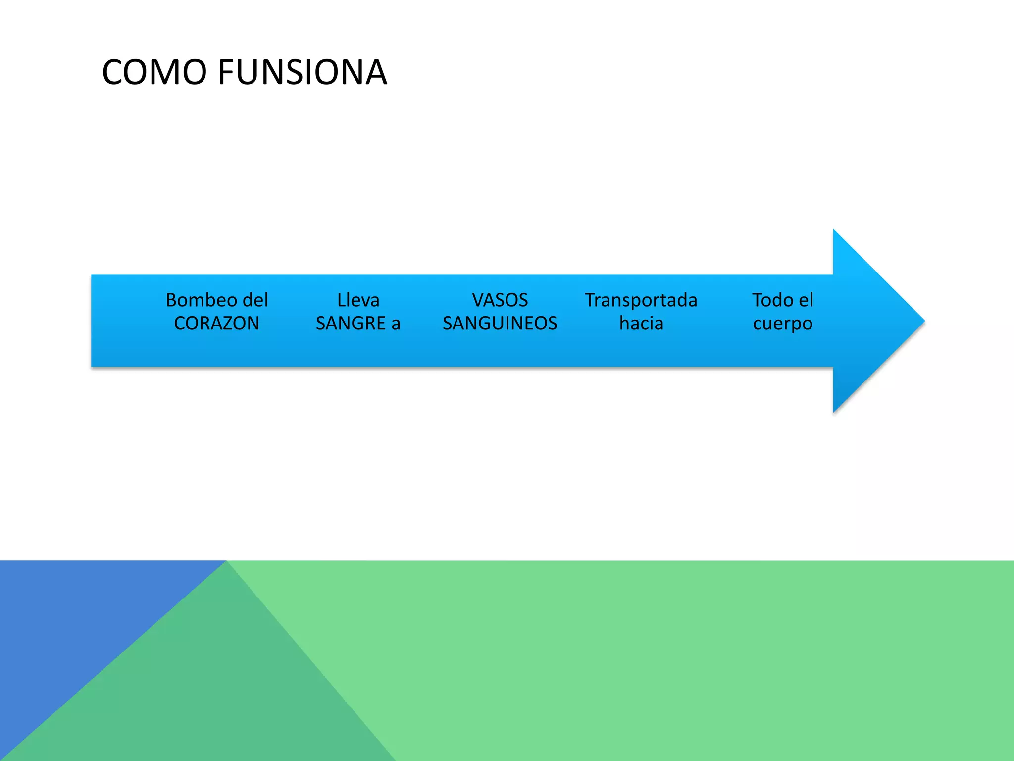 COMO FUNSIONA
Todo el
cuerpo
Transportada
hacia
VASOS
SANGUINEOS
Lleva
SANGRE a
Bombeo del
CORAZON