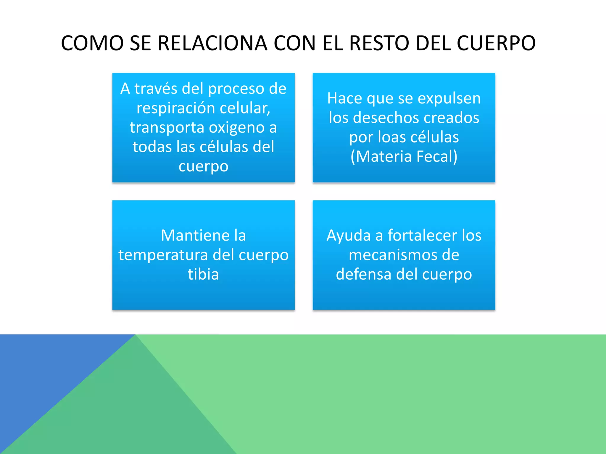 COMO SE RELACIONA CON EL RESTO DEL CUERPO
A través del proceso de
respiración celular,
transporta oxigeno a
todas las células del
cuerpo
Hace que se expulsen
los desechos creados
por loas células
(Materia Fecal)
Mantiene la
temperatura del cuerpo
tibia
Ayuda a fortalecer los
mecanismos de
defensa del cuerpo