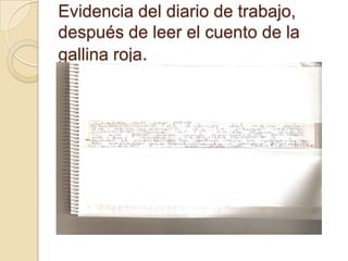 Evidencia del diario de trabajo,
después de leer el cuento de la
gallina roja.
 