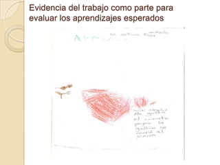 Evidencia del trabajo como parte para
evaluar los aprendizajes esperados
 