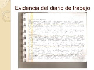 Evidencia del diario de trabajo
 