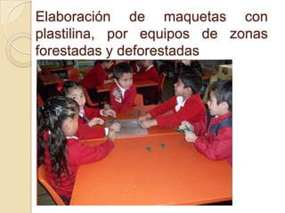 Elaboración de maquetas con
plastilina, por equipos de zonas
forestadas y deforestadas
 