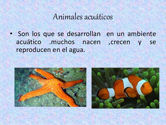 RESUMEN PLANTAS Y ANIMALES ACUATICOS