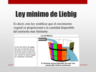 .
    Ley minimo de Liebig
Es decir, esta ley establece que el crecimiento
vegetal es proporcional a la cantidad disponible
del nutriente mas limitante.
 